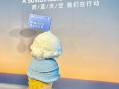 -Dal Cuore 达可芮冰淇淋(陕西北路店)