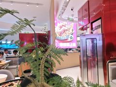 -老板恋上鱼(恒隆广场店)