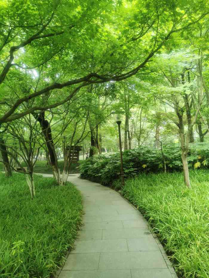 钱江新城森林公园-"又到了满城桂花香的季节[鼓掌] 带上相.