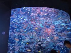 -成都浩海立方海洋公园