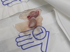 -中农国际动物医院24小时·猫科·骨科·急重症中心