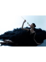 -苏菲雅婚纱摄影(西三路)