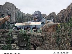 -中华恐龙园