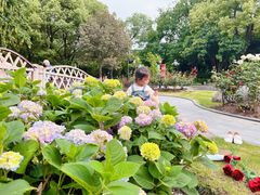 -常州古运河南大街文化旅游区-人民公园
