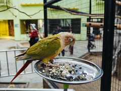 -北京野生动物园