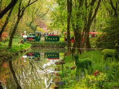 -上海共青森林公园