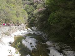 -秦岭风景区