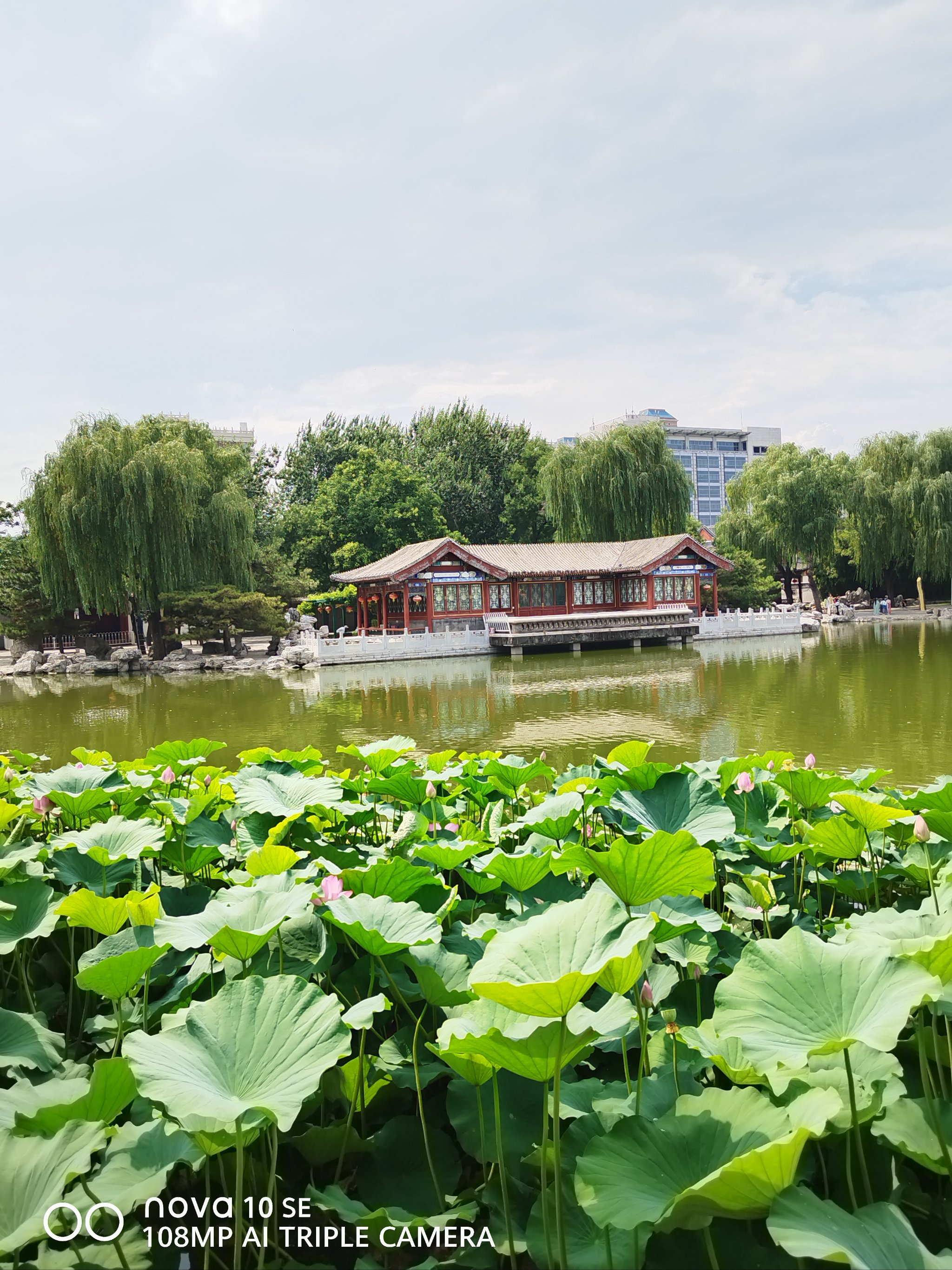 大观园景区图片