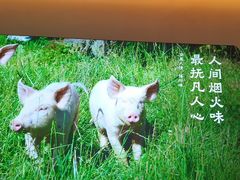 -乡里八闽·福州乡土菜(高宅店)