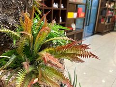 -中福百货(望京店)