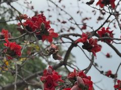 -东风公园