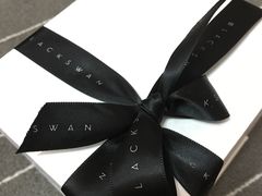 -BLACKSWAN黑天鹅(环球店)