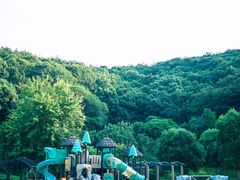 -龙寺生态园