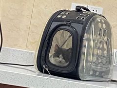 -思琪宠物医院(昆山花桥店)