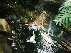 -聚缘堂·海鲜私房菜(松岭路店)