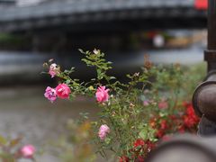 -秦皇岛路游船码头