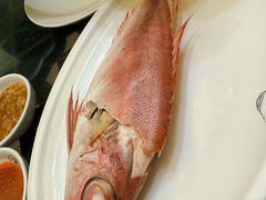 -吴记富苑(朝阳店)