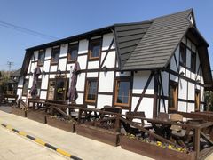 -金山农民画村-枫泾波兰倒置屋