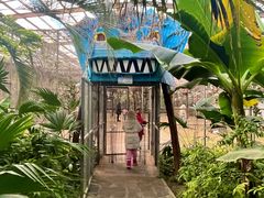 -呀路古热带植物园