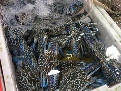 -都斛海鲜街
