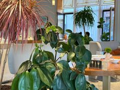 -荷恬·精致蔬食料理(星海店)