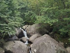 -大围山国家森林公园