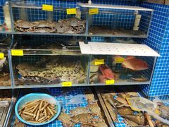 -77号渔船·蒸海鲜青岛菜(积米崖店)