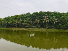 -东莞植物园