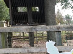 -田园东方蜜桃村的田野营地