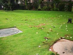 -Ministry of Crab(科伦坡店)