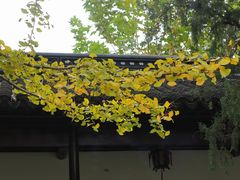 -苏州文庙(姑苏区)