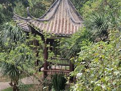 -深圳国际园林花卉博览园