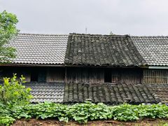 -四明山国家森林公园