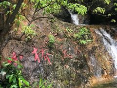 -牛鱼嘴原始生态风景区