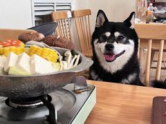 -柴の食堂·日式家庭料理·熊之肆(大学路店)