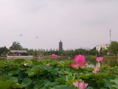 -西海子公园