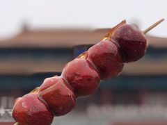 -和禄德冰糖葫芦