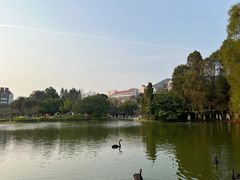 -厦门大学(思明校区)