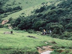 -大姆山草场