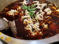 -重庆何乌鱼(南湖逸家店)