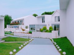 -龙坞茶村