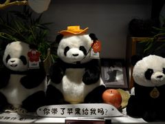 -轩客会(熊猫书店)