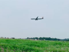 -空港花田景区