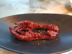 -佬肥猫(国华广场店)