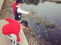 -门城湖公园