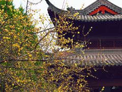 -钱王祠