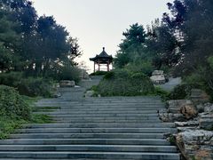 -大兴滨河森林公园