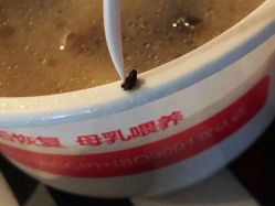 -广禾堂月子餐(国妇婴店)