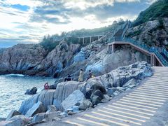 -广东惠东海龟国家级自然保护区