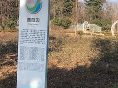 -昆山城市生态森林公园